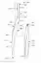 Fig. 01 - Oral care system, kit and method