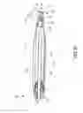Fig. 17 - Oral care system, kit and method