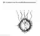 Fig. 05 - PHOTOGRAPHIC ORNAMENT
