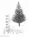 Fig. 04 - SWIVEL TREE STAND DEVICE