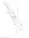 Fig. 09 - Assemblies for use with an endoscope