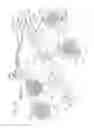 Fig. 37 - Assemblies for use with an endoscope