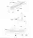 Fig. 41 - Assemblies for use with an endoscope