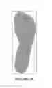 Fig. 04 - Gait-based biometric system for detecting weight gain or loss