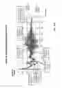 Fig. 22 - NONINVASIVE METHOD OF MEASURING CARDIOVASCULAR PARAMETERS, MODELLING THE PERIPHERAL VASCULAR LOOP, ANALYZING VASCULAR STATUS, AND IMPROVING CARDIOVASCULAR DISEASE DIAGNOSIS