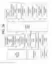 Fig. 24 - DEVICE AND METHOD HAVING AUTOMATIC USER-RESPONSIVE AND USER-SPECIFIC PHYSIOLOGICAL-METER PLATFORM