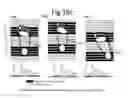 Fig. 29 - DEVICE AND METHOD HAVING AUTOMATIC USER-RESPONSIVE AND USER-SPECIFIC PHYSIOLOGICAL-METER PLATFORM