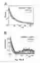 Fig. 22 - BRAIN STATE DEPENDENT THERAPY FOR IMPROVED NEURAL TRAINING AND REHABILITATION