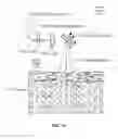 Fig. 12 - Optically discriminative detection of matters in tissues and turbid media and applications for non-invasive assay