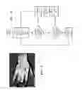 Fig. 08 - Multispectral medical imaging devices and methods thereof