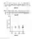 Fig. 05 - System and method for assessing impulse control disorder