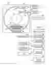 Fig. 01 - Medical image processing apparatus and medical image processing method