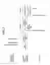Fig. 05 - Radiation image capturing system
