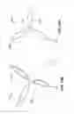 Fig. 20 - Tissue and vascular closure devices and methods of use thereof