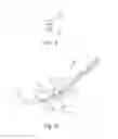 Fig. 04 - Instruments for use in femoroacetabular impingement procedures