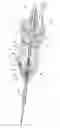 Fig. 01 - Reinforcing slider for surgical hand tool