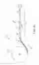 Fig. 02 - Continuous embolic coil and methods and devices for delivery of the same