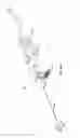 Fig. 10 - Microfracture apparatuses and methods