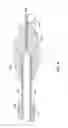 Fig. 05 - Rotatable medical device