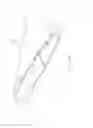 Fig. 09 - Surgical needle