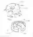 Fig. 16 - Set of instruments for the percutaneous stabilization of the spine with the aid of pedicle screws and rods