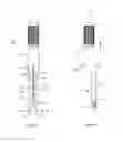 Fig. 03 - SPINAL ROD SYSTEM AND METHOD