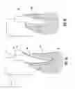 Fig. 03 - Medical implant