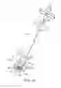 Fig. 17 - Apparatus and method for stylet-guided vertebral augmentation