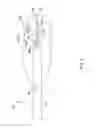 Fig. 04 - Multiple lead electrode probe for controlled tissue ablation