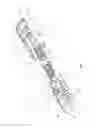Fig. 07 - Rapid palatal expander and method for the assembly thereof