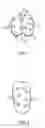 Fig. 03 - DENTAL IMPLANT SYSTEM AND METHOD OF USE