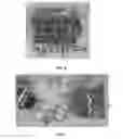 Fig. 04 - Decellularization method and system and decellularized tissue formed thereby