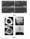 Fig. 05 - Decellularization method and system and decellularized tissue formed thereby