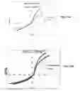 Fig. 07 - Decellularization method and system and decellularized tissue formed thereby