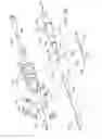 Fig. 08 - Endoluminal prosthesis having multiple branches or fenestrations and methods of deployment