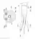 Fig. 10 - Endoluminal prosthesis having multiple branches or fenestrations and methods of deployment