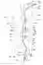 Fig. 22 - Endoluminal prosthesis having multiple branches or fenestrations and methods of deployment