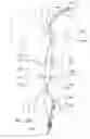 Fig. 26 - Endoluminal prosthesis having multiple branches or fenestrations and methods of deployment