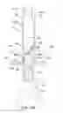 Fig. 30 - Endoluminal prosthesis having multiple branches or fenestrations and methods of deployment