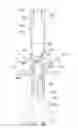Fig. 32 - Endoluminal prosthesis having multiple branches or fenestrations and methods of deployment