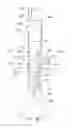 Fig. 37 - Endoluminal prosthesis having multiple branches or fenestrations and methods of deployment