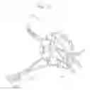 Fig. 10 - Mitral valve anchoring