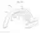 Fig. 15 - Mitral valve anchoring