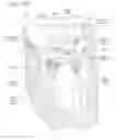 Fig. 24 - Mitral valve anchoring