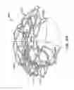 Fig. 46 - Everting heart valve