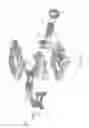 Fig. 15 - Expandable intervertebral implant