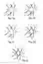 Fig. 03 - Bioresorbable stent