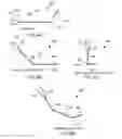 Fig. 09 - Anatomic needle system