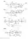 Fig. 19 - Method and instrument for treating obesity