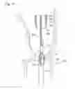 Fig. 09 - Digestive tract device